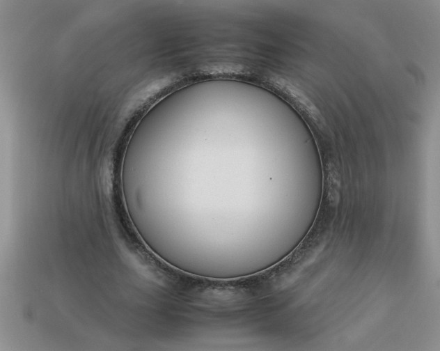 X0000113010631200909101818