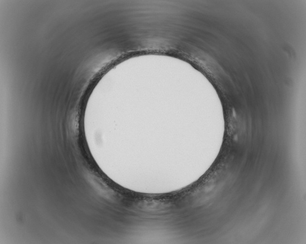 X0000113010632200909101818