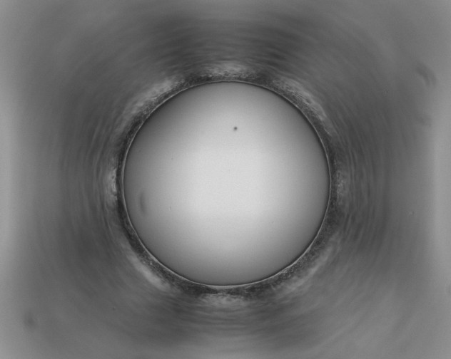 X0000113010633200909101818