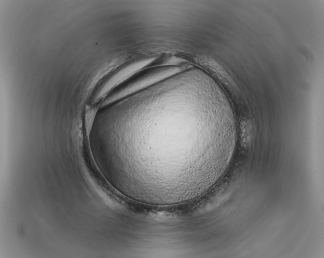 X0000113010634200909101818