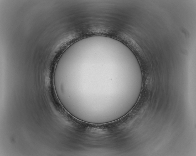 X0000113010635200909101818