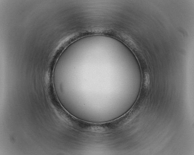 X0000113010636200909101818