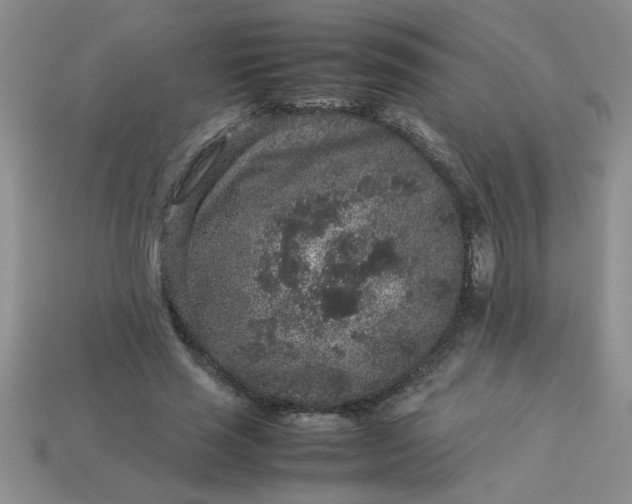 X0000113010637200909101818