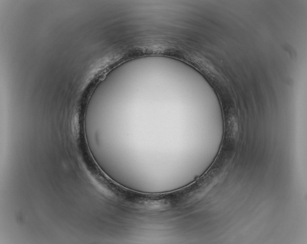 X0000113010638200909101818