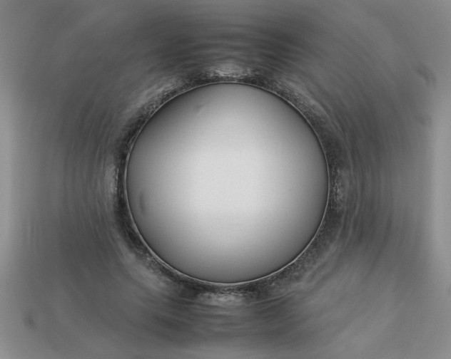 X0000113010639200909101818