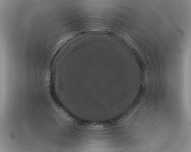 X0000113010640200909101818