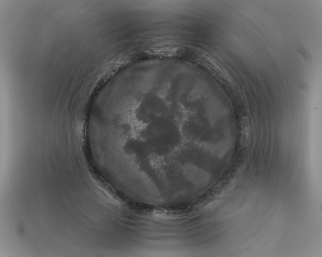 X0000113010641200909101818