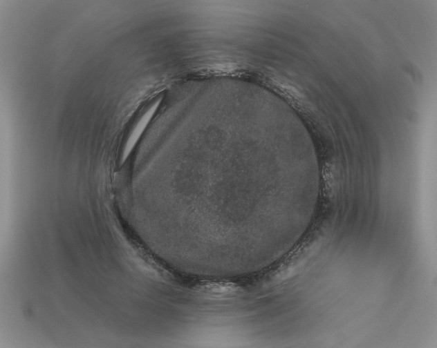 X0000113010642200909101818