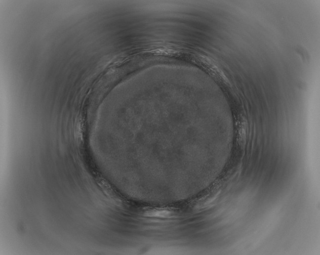 X0000113010643200909101818