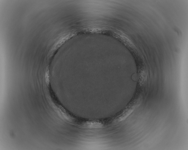 X0000113010644200909101818