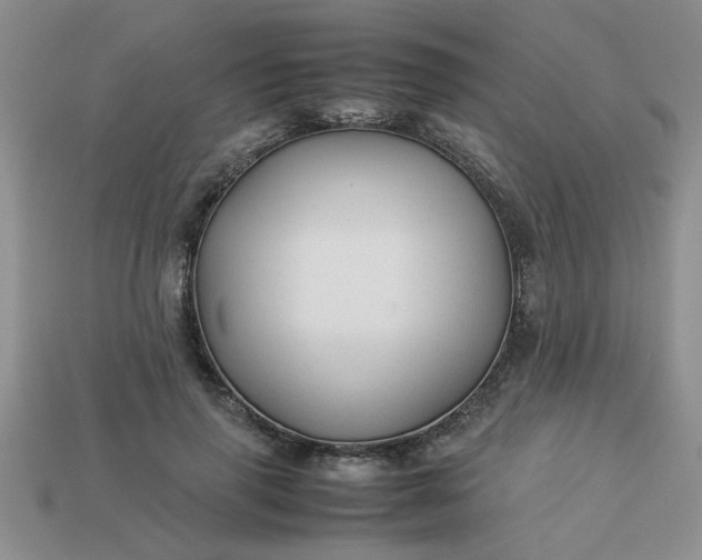 X0000113010645200909101818