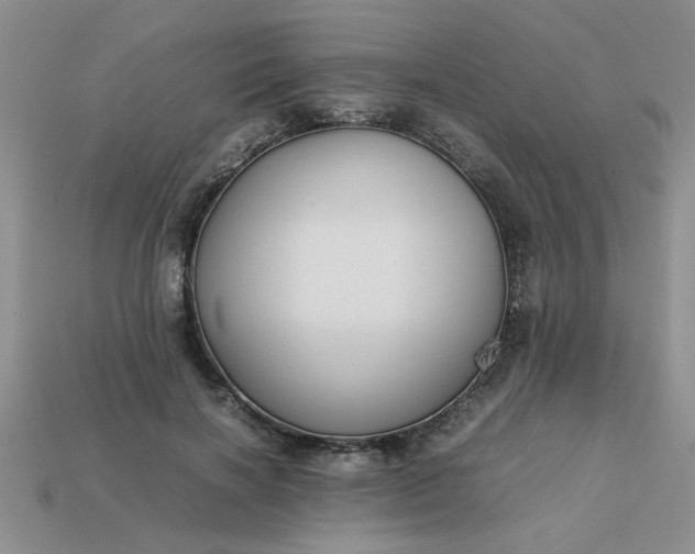 X0000113010646200909101818