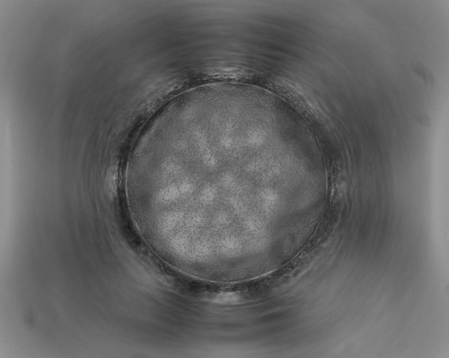 X0000113010647200909101818