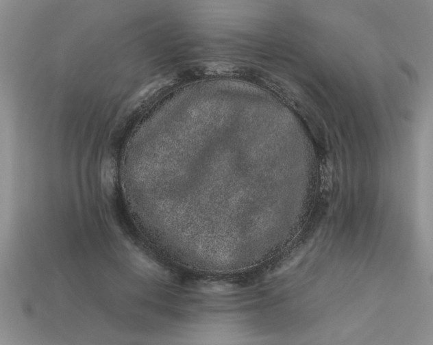 X0000113010648200909101818