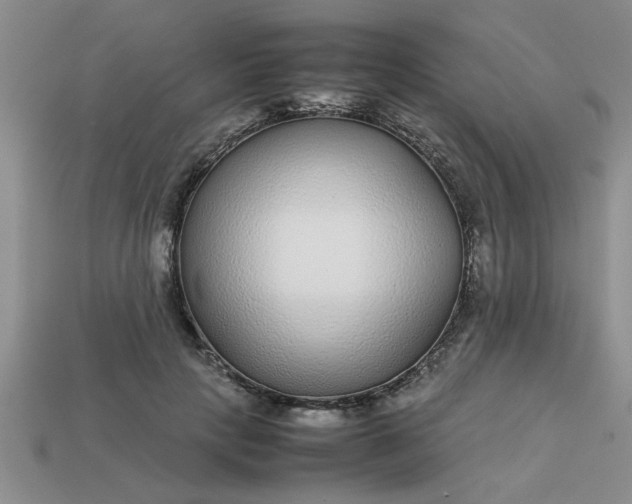 X0000113010649200909101818