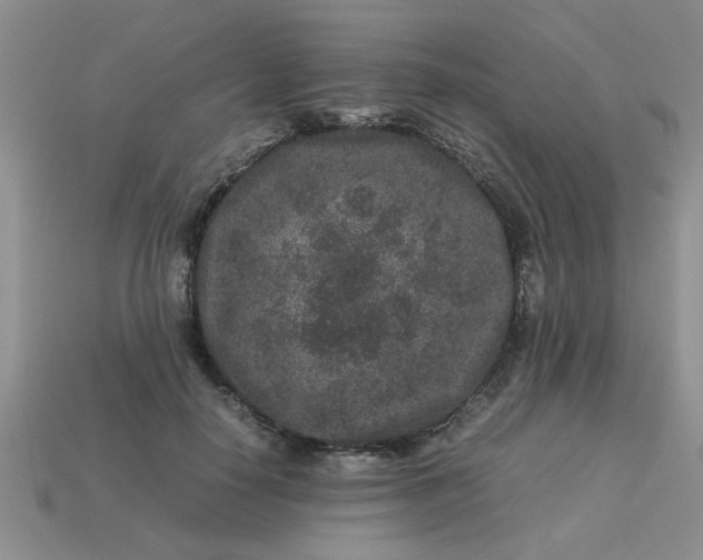 X0000113010650200909101818