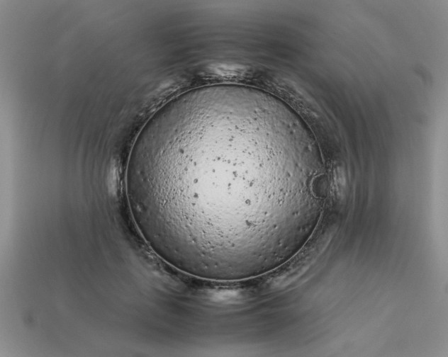 X0000113010651200909101818