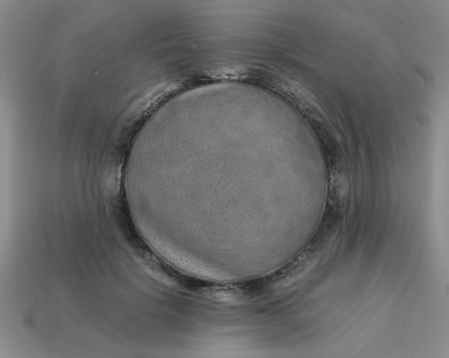 X0000113010652200909101818