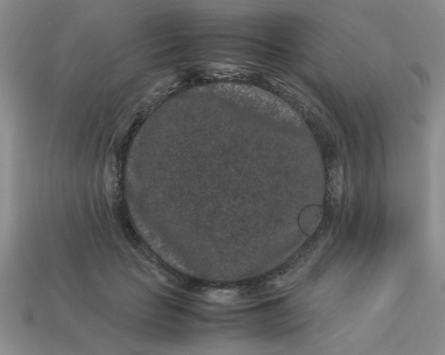 X0000113010653200909101818