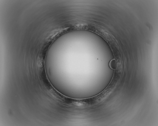 X0000113010654200909101818