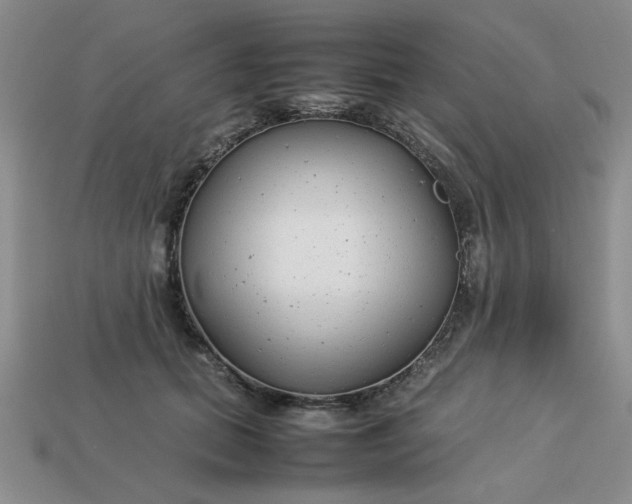 X0000113010655200909101818