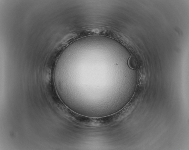 X0000113010656200909101818