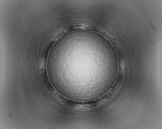 X0000113010657200909101818