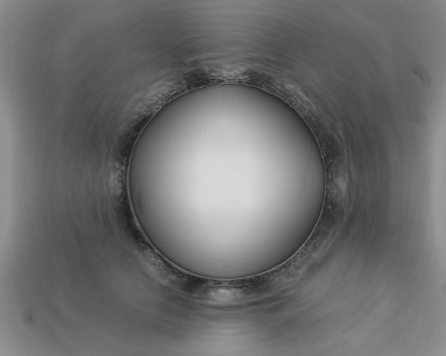 X0000113010658200909101818