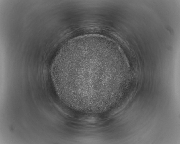 X0000113010659200909101818