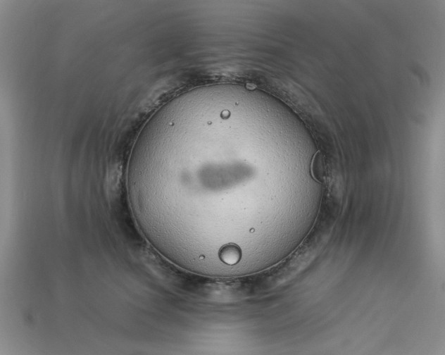 X0000113010660200909101818