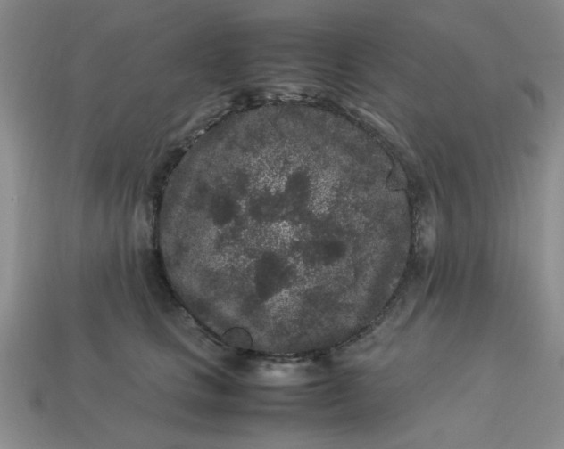 X0000113010661200909101818