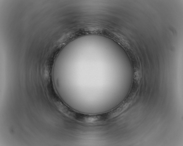 X0000113010662200909101818