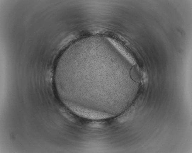 X0000113010664200909101818