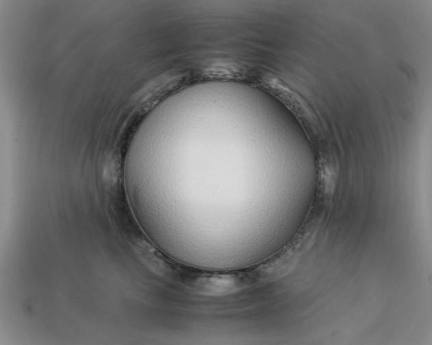 X0000113010665200909101818