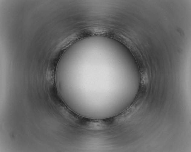 X0000113010666200909101818