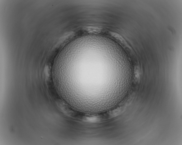 X0000113010667200909101818