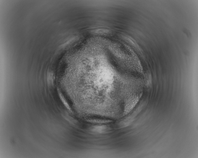 X0000113010669200909101818