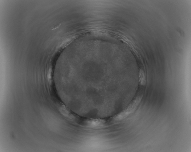 X0000113010670200909101818