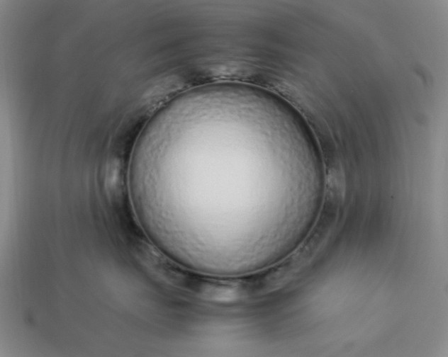 X0000113010671200909101818