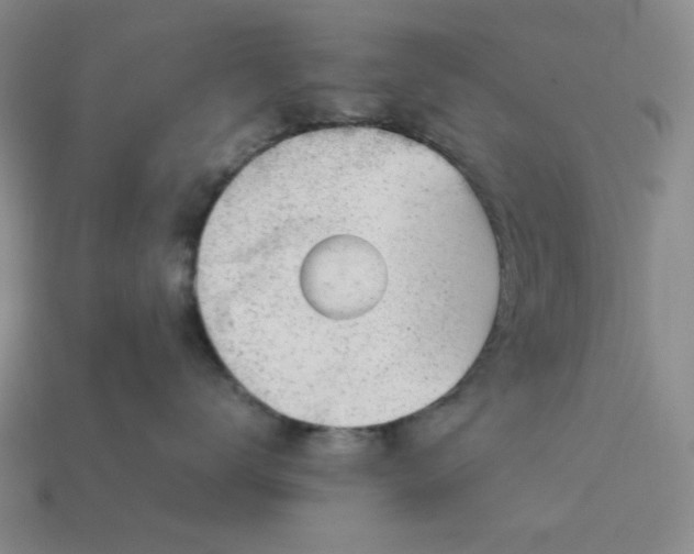 X0000113010672200909101818