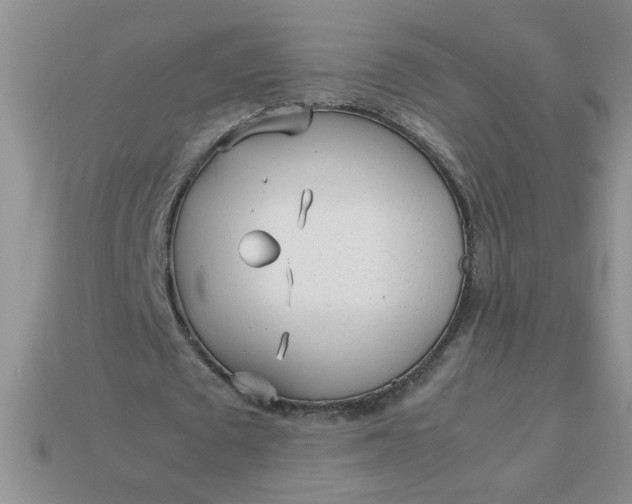 X0000113010673200909101818