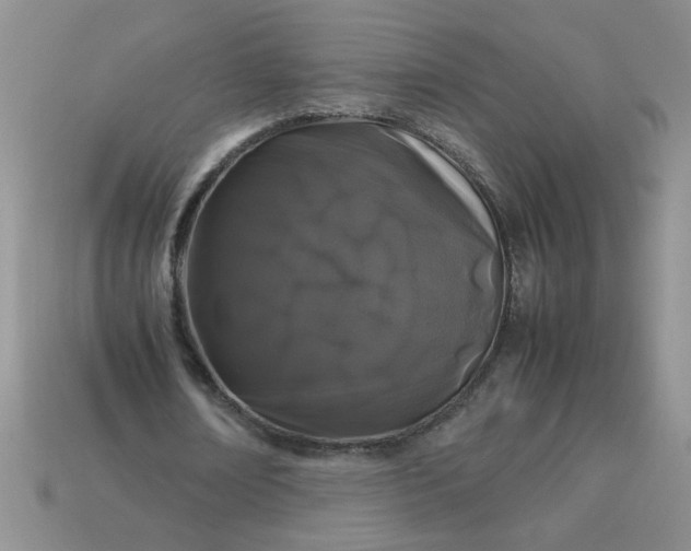 X0000113010674200909101818