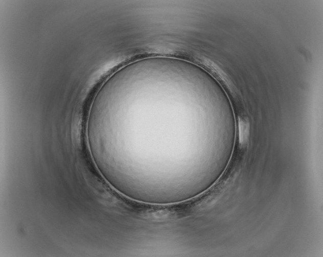 X0000113010675200909101818