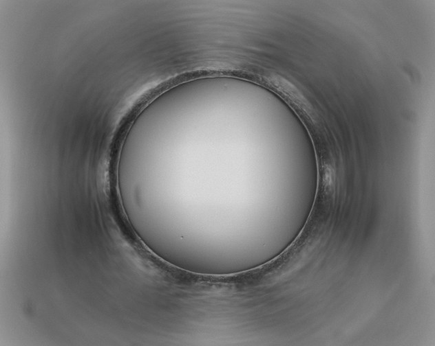 X0000113010676200909101818