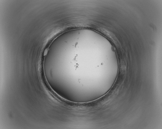 X0000113010677200909101818