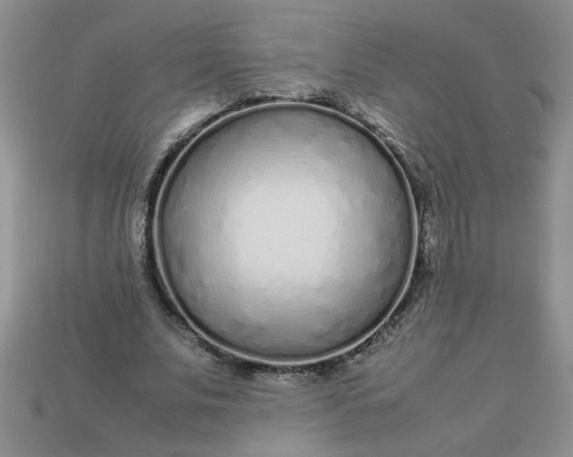 X0000113010679200909101818