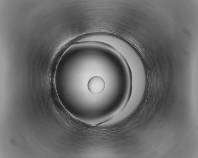 X0000113010680200909101818