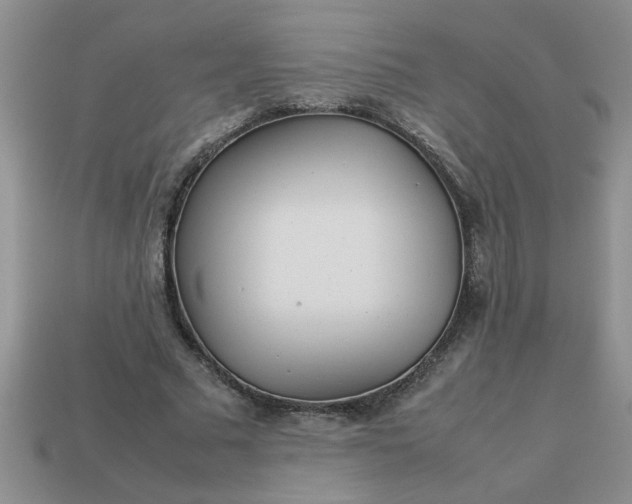 X0000113010681200909101818