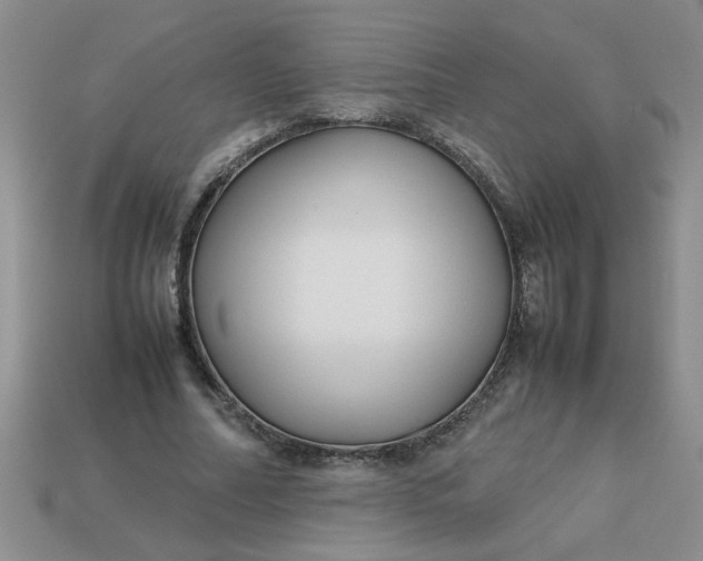 X0000113010682200909101818