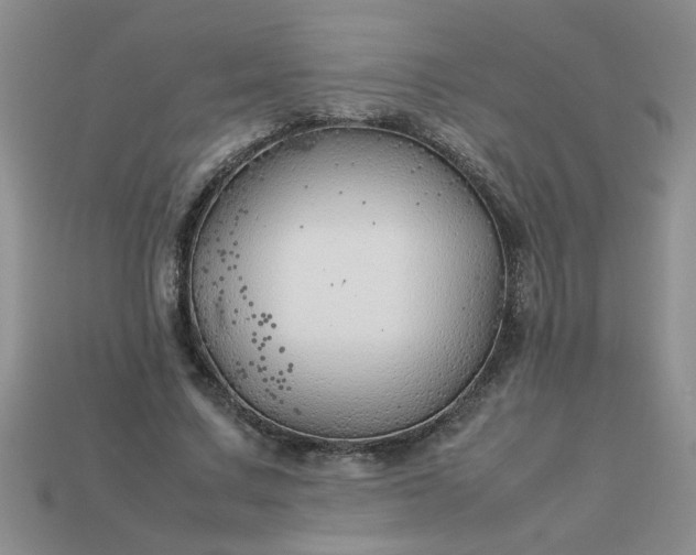 X0000113010683200909101818